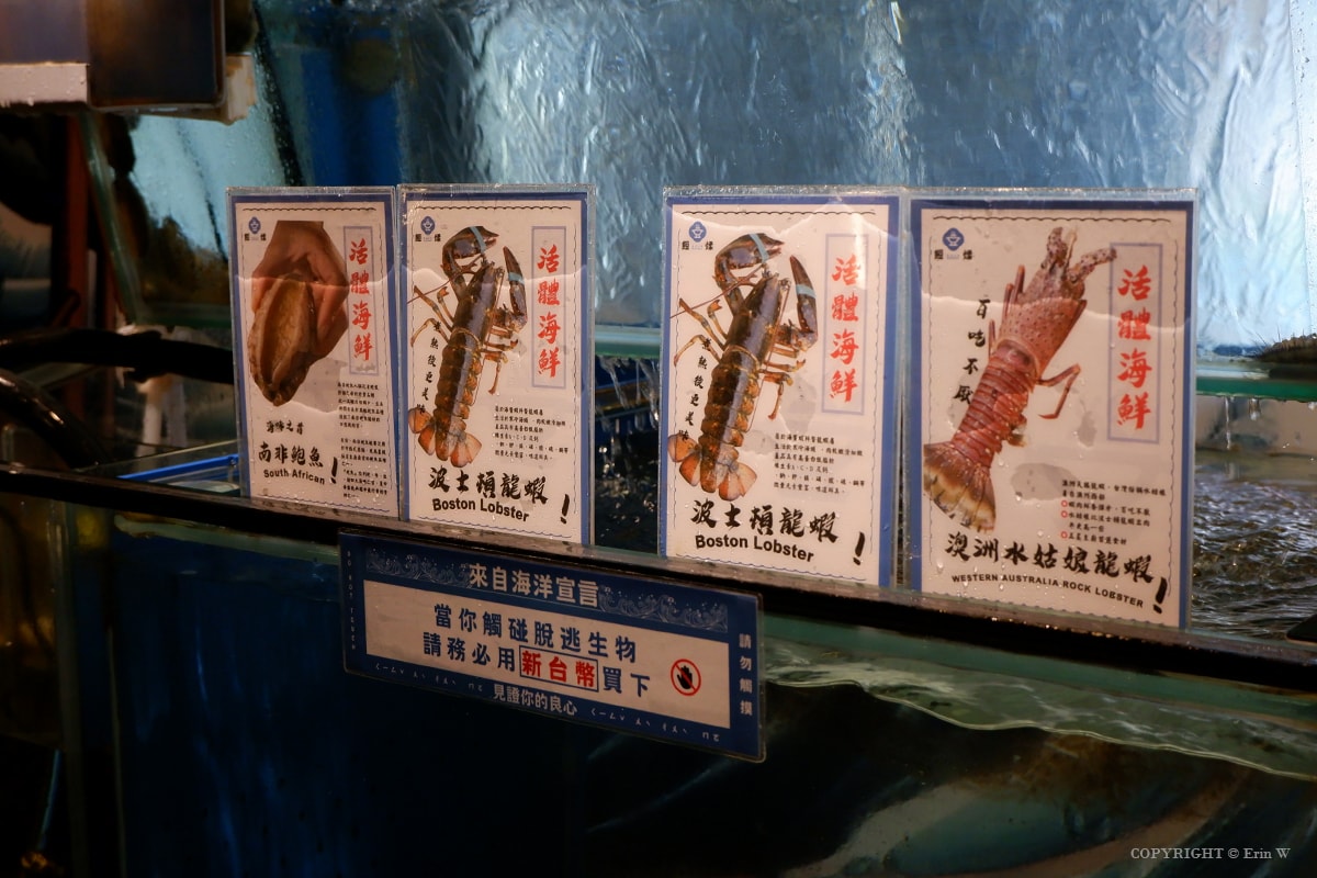 【新竹火鍋】餖煣海鮮鍋物 在護城河畔賞美景吃鮮鍋 現撈生猛活體海鮮