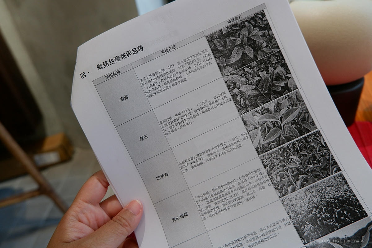 新竹|Eilong宜龍 新竹門市|質感茶器與手沖咖啡的靜謐空間 初心者也能輕鬆體驗品茶樂趣 - 第27張圖 新竹|Eilong宜龍 新竹門市|質感茶器與手沖咖啡的靜謐空間 初心者也能輕鬆體驗品茶樂趣