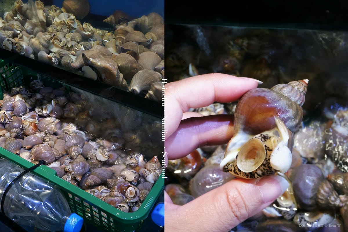 新竹．南寮｜千八料亭父親節海味合菜登場 加碼送蒜香活波龍 南寮與頭份店雙店同步寵爸