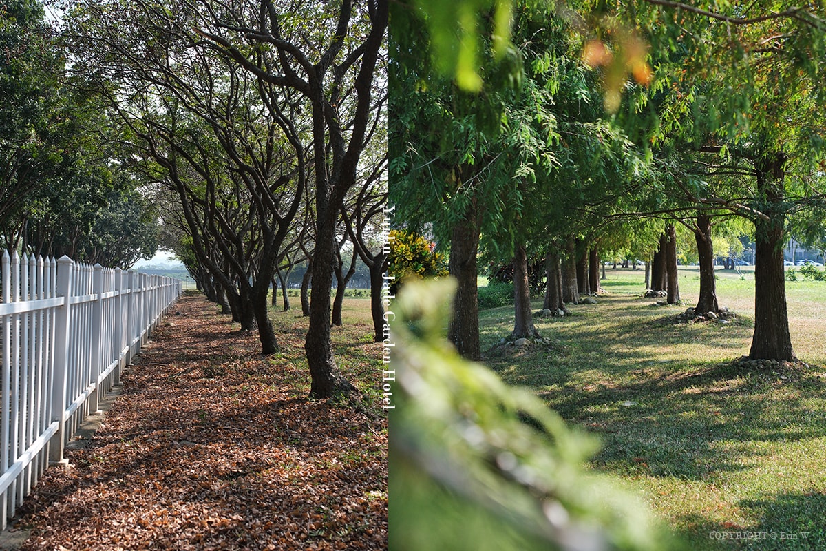 雲林・古坑｜翠華會館｜坐落在校園裡的靜謐度假會館 擁抱山色、咖啡香與親近自然的慢旅時光