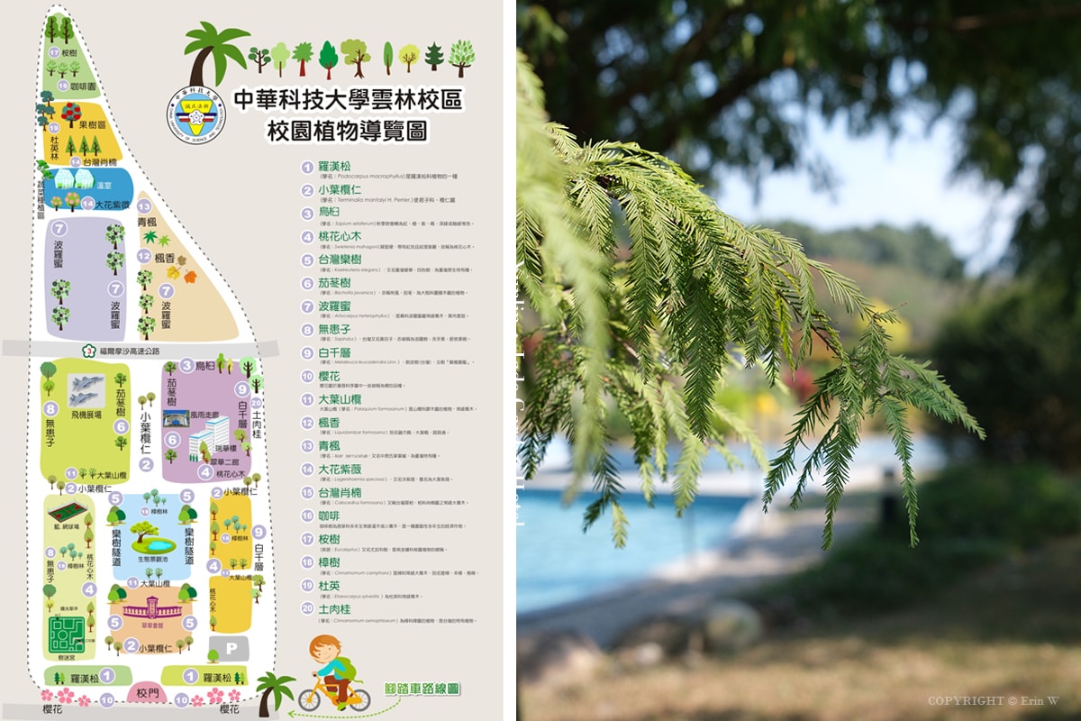 雲林・古坑｜翠華會館｜坐落在校園裡的靜謐度假會館 擁抱山色、咖啡香與親近自然的慢旅時光